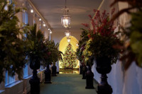 [ẢNH] Giáng sinh năm 2020 tại Nhà Trắng có gì khác biệt?