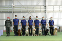 [ẢNH] Huấn luyện chó để phát hiện người nhiễm Covid-19?