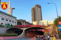 [ẢNH] Rạo rực hoa tháng 3: TP.HCM kèn hồng rực rỡ - Hội An hoa giấy rợp trời - Hà Nội muồng hoàng yến ‘thế chỗ’ hoa ban