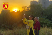 [ẢNH] Rạo rực hoa tháng 3: TP.HCM kèn hồng rực rỡ - Hội An hoa giấy rợp trời - Hà Nội muồng hoàng yến ‘thế chỗ’ hoa ban