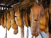 [Ảnh] Sâu thẳm dưới đáy đại dương là loại thuỷ quái cổ xưa, tuy mù loà nhưng tuổi cực thọ