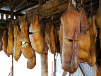 [Ảnh] Sâu thẳm dưới đáy đại dương là loại thuỷ quái cổ xưa, tuy mù loà nhưng tuổi cực thọ