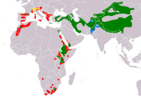 [Ảnh] Lạ lùng loài chim khổng lồ, có cả chòm râu dưới cằm và rất thích nuốt chửng xương