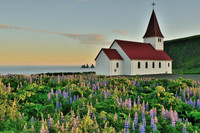 [ẢNH] ‘Tròn mắt’ trước tài năng của 5 nhiếp ảnh gia nhí nổi tiếng thế giới 