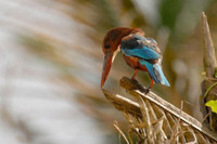 [ẢNH] ‘Tròn mắt’ trước tài năng của 5 nhiếp ảnh gia nhí nổi tiếng thế giới 