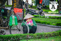 [ẢNH] Người lao động nhọc nhằn mưu sinh dưới thời tiết oi nóng của Hà Nội
