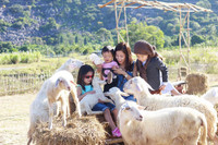 [ẢNH] Ngắm thời khắc bình minh tuyệt đẹp giữa 'biển mây' trên đỉnh núi Bà Đen