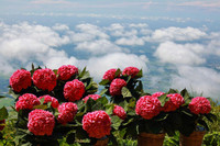 [ẢNH] Ngắm thời khắc bình minh tuyệt đẹp giữa 'biển mây' trên đỉnh núi Bà Đen