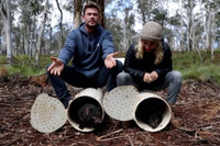 [ẢNH] Điều ít biết về quỷ Tasmania - sinh vật vừa chào đời ở lục địa Australia sau 3.000 năm biến mất