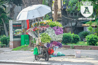 [ẢNH] Người lao động nhọc nhằn mưu sinh dưới thời tiết oi nóng của Hà Nội