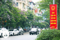 [ẢNH] Đường phố Hà Nội đẹp nao lòng trong sắc hoa bằng lăng 