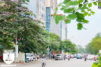 [ẢNH] Đường phố Hà Nội đẹp nao lòng trong sắc hoa bằng lăng 