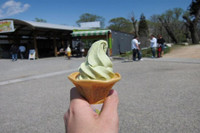 [ẢNH] Khám phá những món kem 'lạ đời' nhất thế giới 