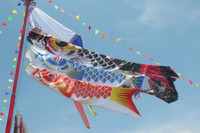 [ẢNH] ‘Giải mã’ ý nghĩa tết trung thu ở Việt Nam và các quốc gia trên thế giới