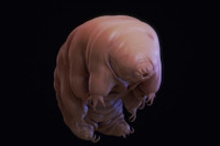 [ẢNH] Top 8 loài động vật sở hữu “năng lực” đặc biệt đến khó tin