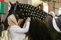 [ẢNH] Nhan sắc ‘đẹp từ trứng nước’ của công chúa Dubai Sheikha Maryam