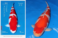 [ẢNH] Chiêm ngưỡng những con vật có giá đắt đỏ nhất hành tinh