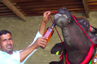 [ẢNH] Chiêm ngưỡng những con vật có giá đắt đỏ nhất hành tinh