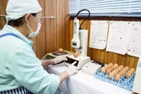 [ẢNH] Những món ăn tươi sống được yêu thích trên thế giới