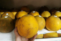 [ẢNH] Những mẹo bảo quản hoa quả tươi lâu không phải ai cũng biết