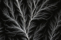 [ẢNH] Bí ẩn hiện tượng 