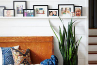 [ẢNH] Những loại cây xanh tuyệt vời nên trồng trong phòng ngủ