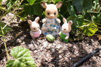 [ẢNH] Lạc vào thế giới tí hon với loạt rau củ quả có kích cỡ siêu nhỏ