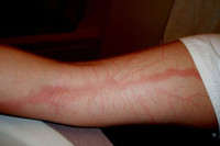 [ẢNH] Bí ẩn hiện tượng 