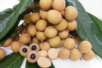 [ẢNH] Những loại trái cây mà người đang giảm cân nên tránh 