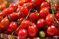 [ẢNH] Lạc vào thế giới tí hon với loạt rau củ quả có kích cỡ siêu nhỏ