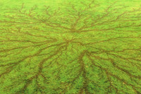 [ẢNH] Bí ẩn hiện tượng 