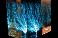 [ẢNH] Bí ẩn hiện tượng 