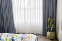 [ẢNH] Những loại cây xanh tuyệt vời nên trồng trong phòng ngủ