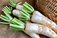 [ẢNH] Những đặc sản nức tiếng có tên gọi “độc nhất vô nhị” tại Việt Nam