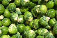 [ẢNH] Lạc vào thế giới tí hon với loạt rau củ quả có kích cỡ siêu nhỏ