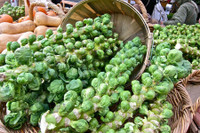 [ẢNH] Lạc vào thế giới tí hon với loạt rau củ quả có kích cỡ siêu nhỏ