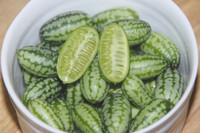 [ẢNH] Lạc vào thế giới tí hon với loạt rau củ quả có kích cỡ siêu nhỏ