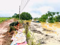 Công an huyện Sóc Sơn xuống đồng, cứu vớt hoa màu giúp nhân dân