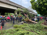 Cảnh sát PCCC và CNCH Hà Nội nhanh chóng xử lý các vụ cây đổ do mưa bão 