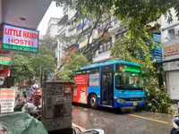 Cảnh sát PCCC và CNCH gồng mình xử lý cây đổ trong mưa bão