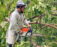 Xúc động hình ảnh những chiến sỹ Công an ngày đêm bám đường giải quyết hậu quả sau bão