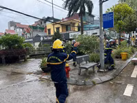 Cảnh sát PCCC và CNCH gồng mình xử lý cây đổ trong mưa bão