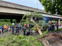 Cảnh sát PCCC và CNCH Hà Nội nhanh chóng xử lý các vụ cây đổ do mưa bão 