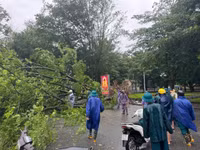 Cán bộ chiến sỹ Công an quận Ba Đình dầm mưa, hỗ trợ người dân ứng phó với cơn bão Yagi