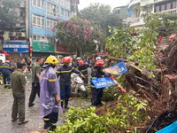 Cảnh sát PCCC và CNCH gồng mình xử lý cây đổ trong mưa bão