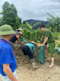 Công an huyện Sóc Sơn xuống đồng, cứu vớt hoa màu giúp nhân dân