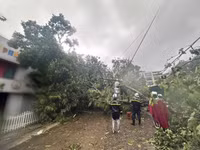 Cán bộ chiến sỹ Công an quận Ba Đình dầm mưa, hỗ trợ người dân ứng phó với cơn bão Yagi