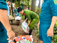 Công an huyện Sóc Sơn xuống đồng, cứu vớt hoa màu giúp nhân dân