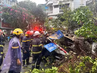 Cảnh sát PCCC và CNCH gồng mình xử lý cây đổ trong mưa bão