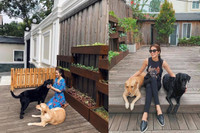 [ẢNH] Sao Việt nào sở hữu bất động sản ‘khủng’ nhất showbiz? 